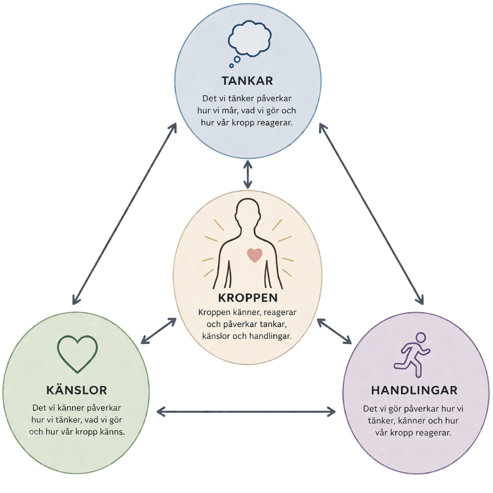 Diagram över hur tankar, känslor, kroppen och handlingar samverkar